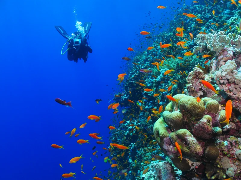 zanzibar-3